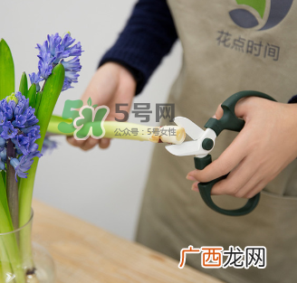 鲜花怎么保存时间长 鲜花怎么保鲜