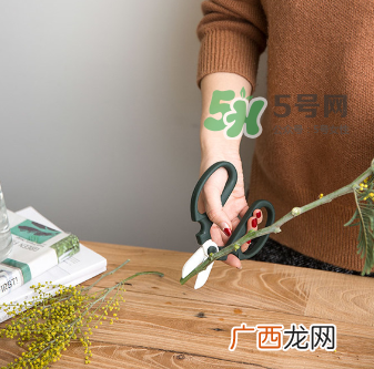 鲜花怎么保存时间长 鲜花怎么保鲜