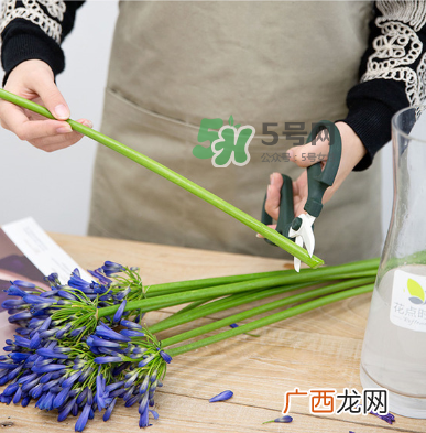 鲜花怎么保存时间长 鲜花怎么保鲜