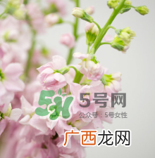 鲜花怎么保存时间长 鲜花怎么保鲜