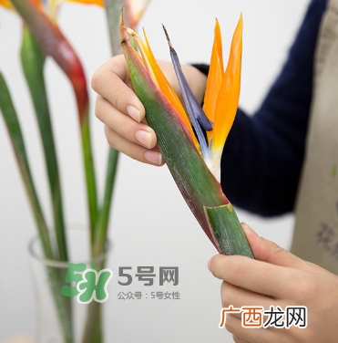 鲜花怎么保存时间长 鲜花怎么保鲜