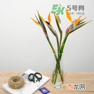 鲜花怎么保存时间长 鲜花怎么保鲜