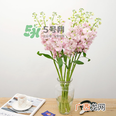 鲜花怎么保存时间长 鲜花怎么保鲜