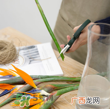 鲜花怎么保存时间长 鲜花怎么保鲜