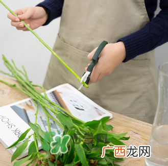 鲜花怎么保存时间长 鲜花怎么保鲜