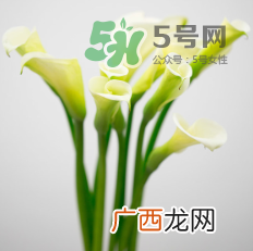 鲜花怎么保存时间长 鲜花怎么保鲜