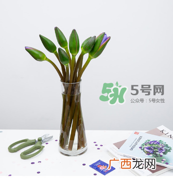 鲜花怎么保存时间长 鲜花怎么保鲜
