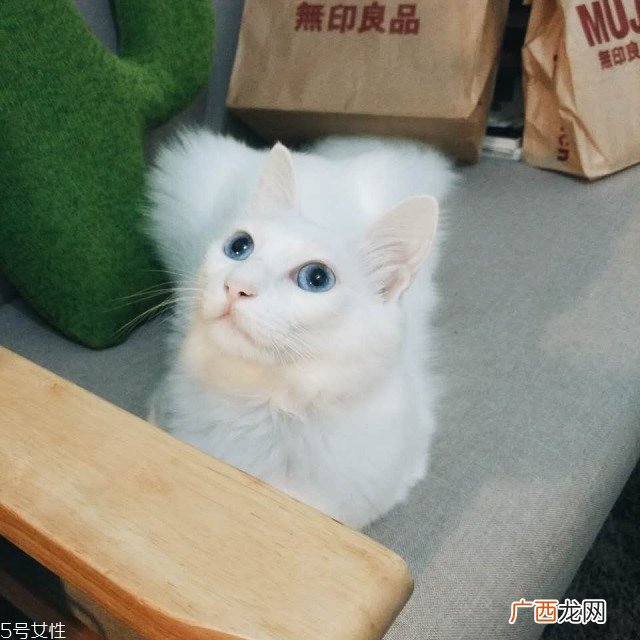 出租房怎么布置好看 出租房如何布置好看