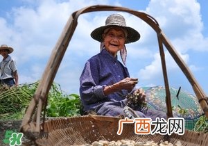 长寿的人有什么特征 长寿人的共同特征