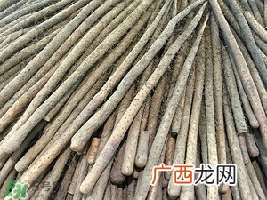铁棍山药怎么吃 铁棍山药吃法