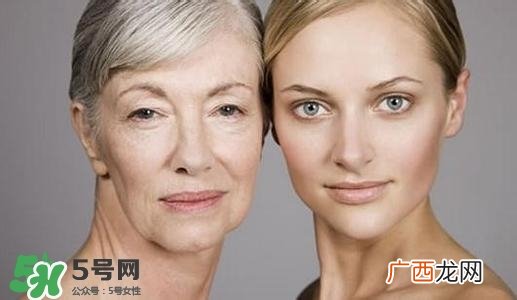 胶原蛋白的功效与作用 如何补充胶原蛋白
