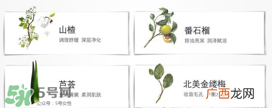 娇韵诗黄水和绿水的区别 娇韵诗黄水和橙水区别