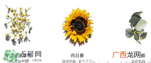 娇韵诗黄水和绿水的区别 娇韵诗黄水和橙水区别