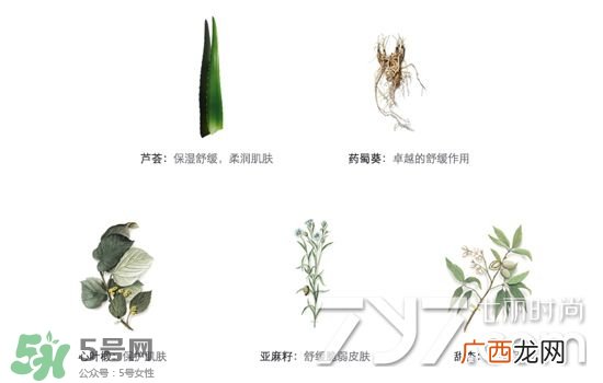 娇韵诗黄水和绿水的区别 娇韵诗黄水和橙水区别