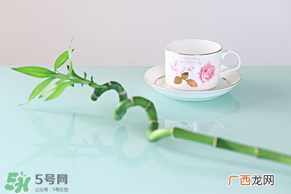 风水植物怎么摆放位置 家中植物摆放风水讲究
