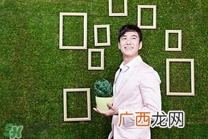风水植物怎么摆放位置 家中植物摆放风水讲究