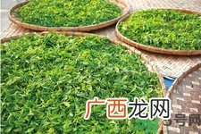 绿茶的营养价值 绿茶的功效与作用