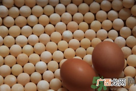 甲鱼蛋的营养价值 甲鱼蛋的功效与作用