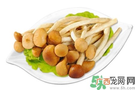 茶树菇的营养价值 茶树菇的功效与作用