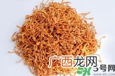 虫草花的功效与作用 虫草花的副作用