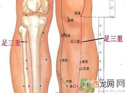 艾灸足三里有什么好处？艾灸足三里的功效