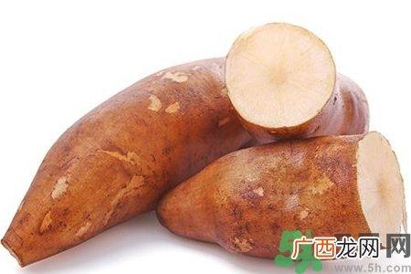 天山雪莲果的营养价值 天山雪莲果的功效与作用