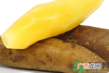天山雪莲果的营养价值 天山雪莲果的功效与作用