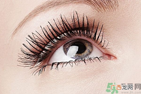 为什么睫毛老是掉？为什么睫毛老是掉到眼睛里？