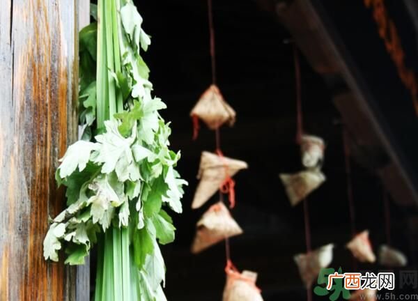 艾叶有什么保健功效？艾叶怎么使用？