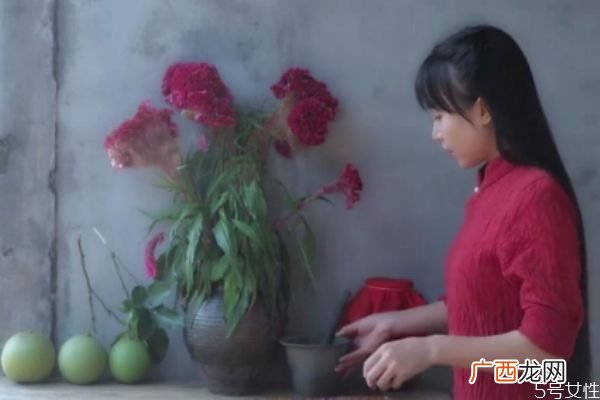 抖音最火李子柒 李子柒为什么这么火