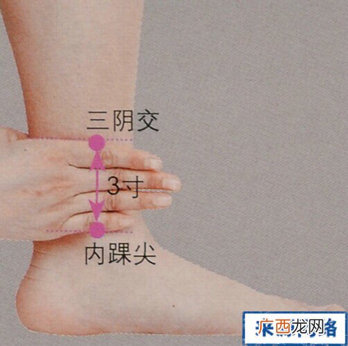 女人夏天怎么养生 女人夏天养生秘技