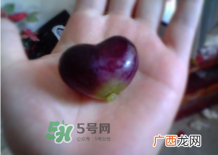 心形葡萄能吃吗？心形葡萄和普通葡萄的区别