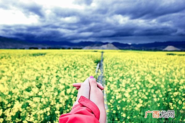我被别人当备胎怎么办？什么人最容易成为备胎？