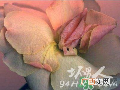 18岁女孩长什么样的?18岁女生的长什么样?