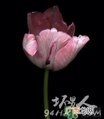 18岁女孩长什么样的?18岁女生的长什么样?