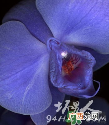 18岁女孩长什么样的?18岁女生的长什么样?