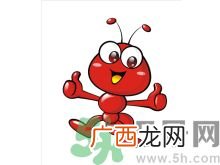 家里有蚂蚁怎么办？驱除蚂蚁的方法是什么？