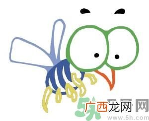 夏天家中有苍蝇怎么办？夏天如何灭苍蝇？