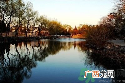 清华取消北大培文杯非原创考生自招资格是怎么回事？