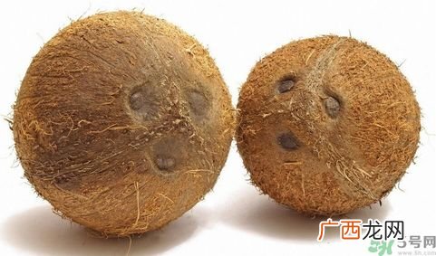 椰子能带上飞机吗？坐飞机能带椰子吗?