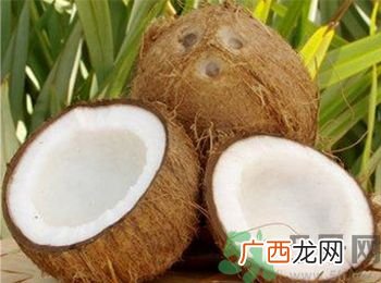 椰子能带上飞机吗？坐飞机能带椰子吗?