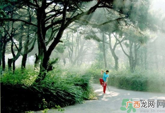 晨练前要不要吃早餐呢？晨练应该吃早餐吗？
