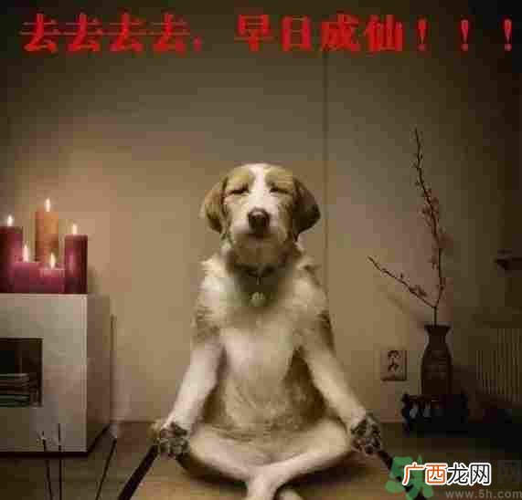 早餐吃面还是包子比较好？早餐吃包子和面健康吗？