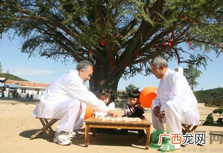 多运动可以长寿吗?长寿的秘诀是什么?