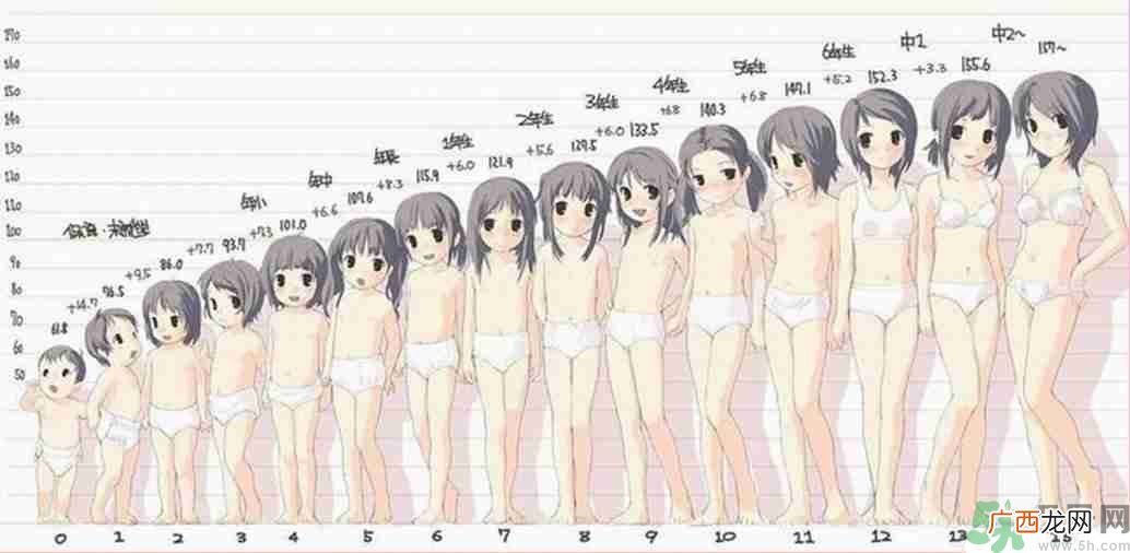 女生的发育过程是什么样的?