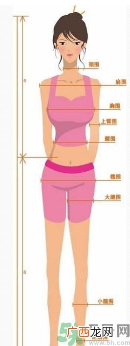 我12岁腿怎样算长 12岁腿多长正常