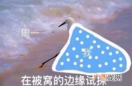 在违法的边缘试探原图 在违法的边缘试探表情包