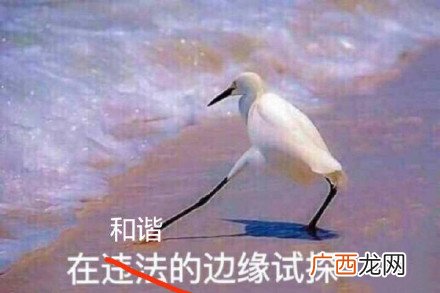 在违法的边缘试探原图 在违法的边缘试探表情包
