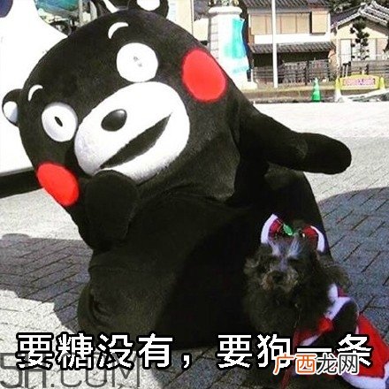 不给糖就捣蛋无水印表情包 万圣节不给糖就捣蛋