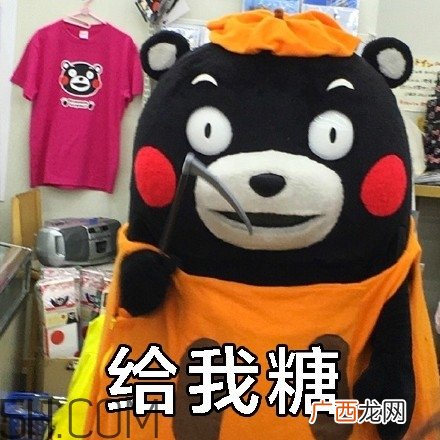 不给糖就捣蛋无水印表情包 万圣节不给糖就捣蛋
